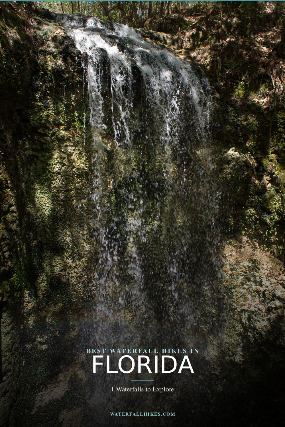 Florida Waterfall Hikes Pinterest Guide